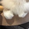 katelyn_fecteau